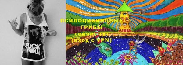 PSILOCYBIN Балабаново